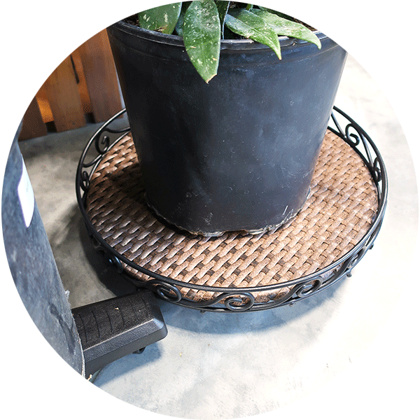 Brown woven plant caddy underneath a large houseplant